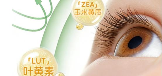 口碑出众的补脑DHA藻油有哪些？2026年DHA藻油5强盘点：神经酸增强专注力 