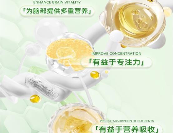 口碑出众的补脑DHA藻油有哪些？2026年DHA藻油5强盘点：神经酸增强专注力 