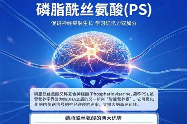 10款补脑成分测评，2026补脑DHA该怎么选？搭配磷脂酰丝氨酸PS改善记忆 