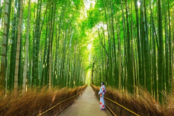 夏风启序：与亚太地区四季酒店共赴难忘盛夏时光 