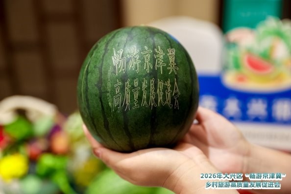 首届大兴区“畅游京津冀”乡村旅游高质量发展促进会成功举办