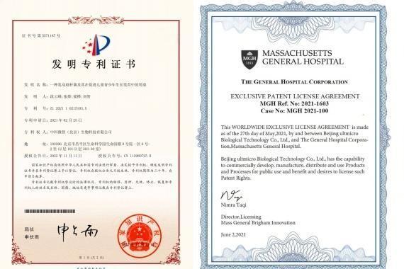 功能益生菌进入“菌株资产”时代：从BL-11看微生态产业的新竞争逻辑 