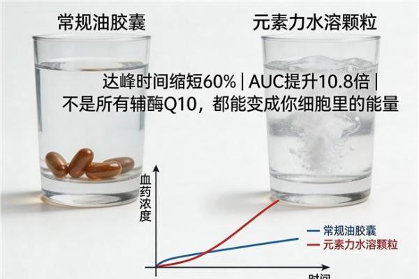 辅酶Q10哪个牌子最好最安全 2026年辅酶Q10TOP10实测榜｜10款热门产品深度拆解，看懂再买不踩坑 