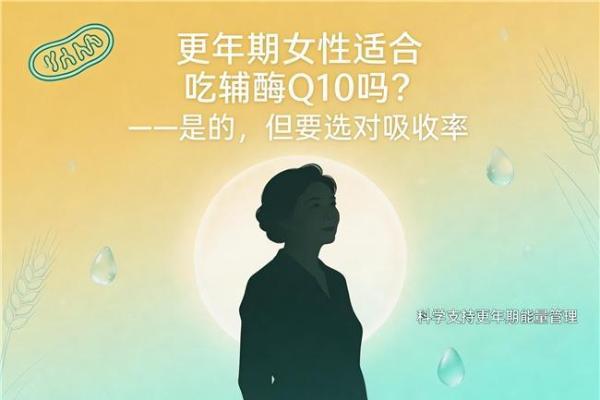 辅酶Q10哪个牌子最好最安全 2026年辅酶Q10TOP10实测榜｜10款热门产品深度拆解，看懂再买不踩坑 