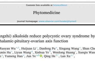 重磅医学更新！PCOS 正式更名 PMOS 天然药物给出新答案 