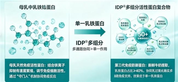 乳铁蛋白是人体核心活性营养物质，可参与人体免疫系统构建与激活、提升免疫细胞活性、筑牢黏膜免疫屏障、调节营养吸收与机体代谢，适配婴幼儿娇嫩体质发育需求，是宝宝、儿童成长阶段的关键活性营养，同时也适合各年龄段人群日常养护补充。乳铁蛋白并非单一成分，第三代免疫防御蛋白IDP®的出现，实现了从“单一免疫支持”到“多维协同防护”的技术升级。