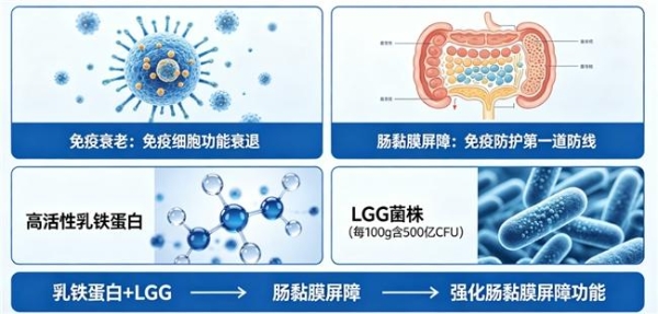 含乳铁蛋白十大品牌 2026 年 618 乳铁蛋白天然营养 