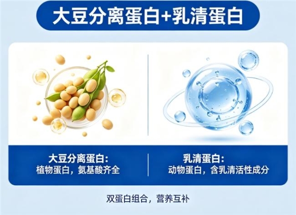 什么牌子的蛋白粉好一些 2026 年 618 蛋白粉实力排行榜 