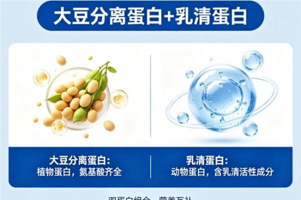 什么牌子的蛋白粉好一些 2026 年 618 蛋白粉实力排行榜 