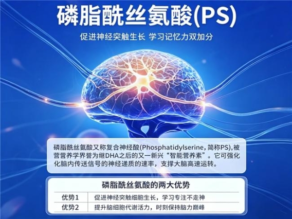 长期吃补脑DHA选哪款可靠？2026养护优选添磷酯酰丝氨酸，好吸收适配全年龄 