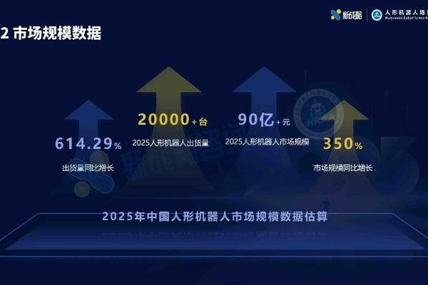 2025人形机器人行业报告：宇树出货量与市场占比双第一 