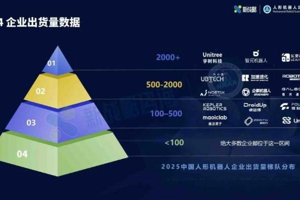 2025人形机器人行业报告：宇树出货量与市场占比双第一 