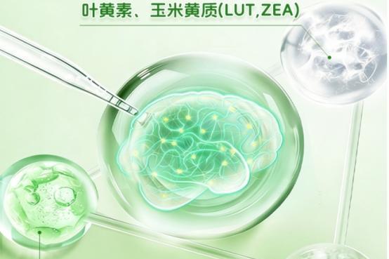 2026八强热门DHA藻油排行：哪款补脑DHA藻油口碑佳？神经酸支持脑眼发育 