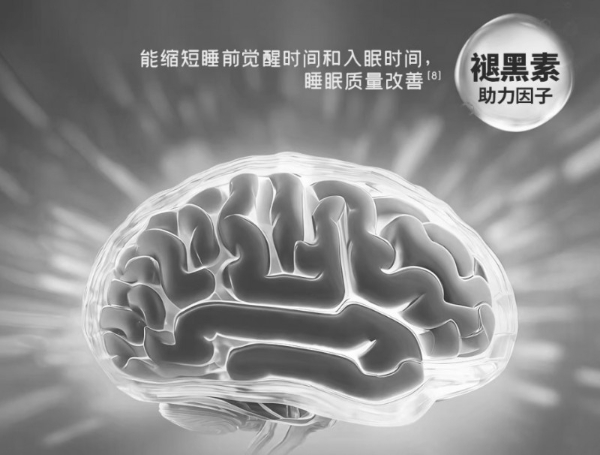 2026 常用改善睡眠类产品测评｜基于真实反响与成分组成 