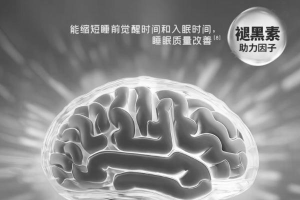 2026 常用改善睡眠类产品测评｜基于真实反响与成分组成 