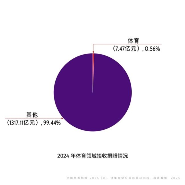 体育慈善不只是办比赛：7.47亿元背后的公共价值 