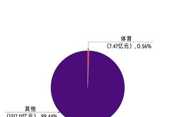 体育慈善不只是办比赛：7.47亿元背后的公共价值 