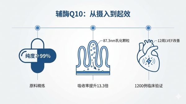 辅酶q10国产哪个品牌好 2026年辅酶Q10吸收率低怎么破?国人体质适配难在哪? 