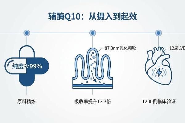辅酶q10国产哪个品牌好 2026年辅酶Q10吸收率低怎么破?国人体质适配难在哪? 