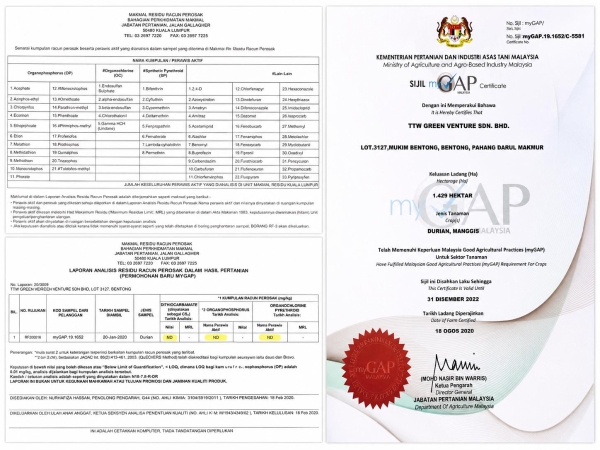 环球果萃携手马来西亚文冬果园 Bentong Durians，以MyGAP标准夯实品质基础 