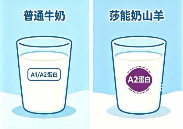 母乳转奶粉推荐什么牌子？佳贝艾特羊奶粉助力肠胃平稳适应 