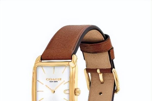 COACH 腕表携手品牌大使毕雯珺，并发布520 Iris与Elliot系列新品 