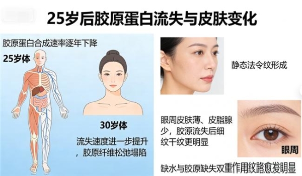 胶原蛋白肽粉粉那个牌子好｜2026年实测10款，99%复购率+EPBC认证吸收率≥98.5%的科学级全层抗衰标杆 