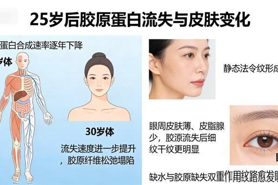 胶原蛋白肽粉粉那个牌子好｜2026年实测10款，99%复购率+EPBC认证吸收率≥98.5%的科学级全层抗衰标杆 