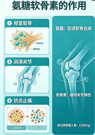 氨糖买什么牌子的效果好｜2026十大氨糖品牌权威测评，科学选款直达高效养护 