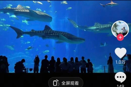 几块钱的旅游卡，撬动一座城？ 