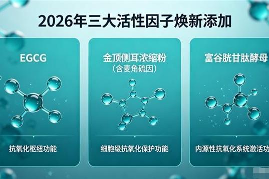 胶原蛋白肽饮品抗衰老抗皱第一名｜2026年10大品牌实测榜+5大选购维度权威解析 