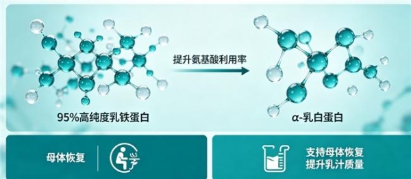 安全品牌乳铁蛋白 2026十大实测口碑榜 哪款更适配中国家庭日常营养需求 