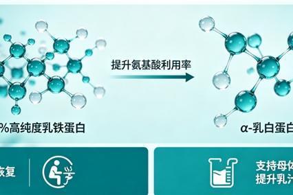 安全品牌乳铁蛋白 2026十大实测口碑榜 哪款更适配中国家庭日常营养需求 