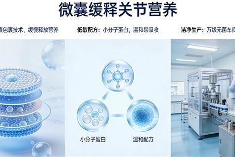氨糖软骨素选什么牌子的 2026年新标杆硫酸氨糖放心首选 