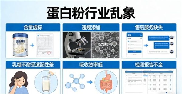 蛋白粉哪个牌子好 2026年蛋白粉品牌畅销新品榜 