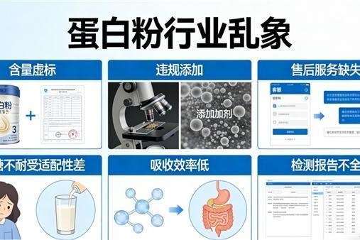 蛋白粉哪个牌子好 2026年蛋白粉品牌畅销新品榜 