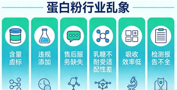蛋白粉哪个品牌好点 2026年蛋白粉品牌TOP推荐榜 