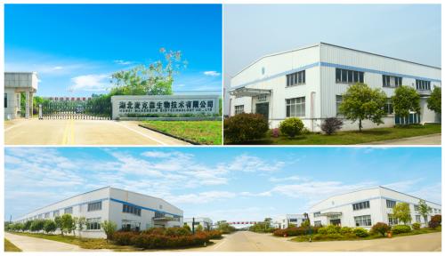 专利护航・科学实证｜速诺健：以专业营养守护3-18岁儿童青少年成长黄金期 