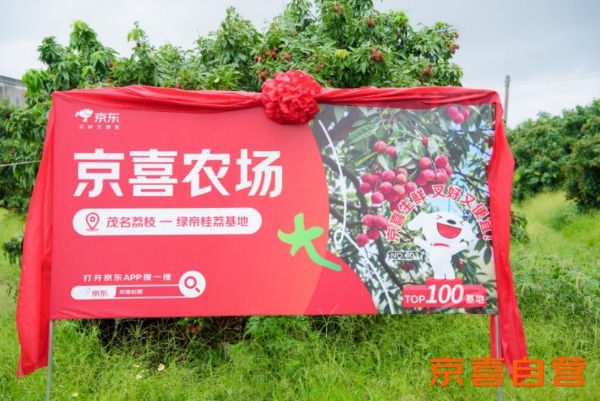 京东京喜首个生鲜基地落户广东 助力茂名荔枝走向全国 