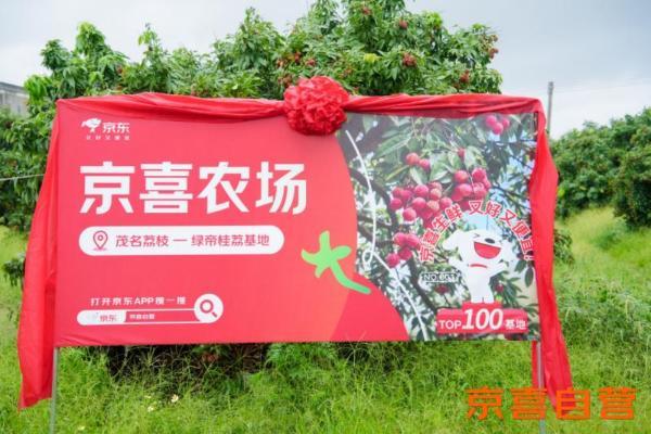 京东京喜首个生鲜基地落户广东 助力茂名荔枝走向全国 