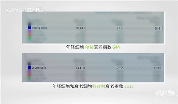 从漠河白桦林到工厂实验室，《极地溯源》记录国货美妆突围之路 