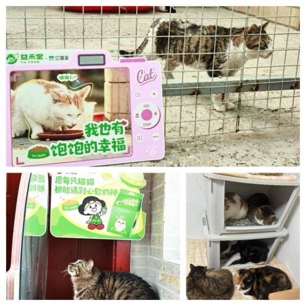 2800公斤善意：益禾堂第二期“饱喂计划”的8城答卷 