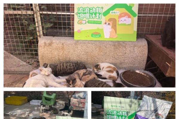 2800公斤善意：益禾堂第二期“饱喂计划”的8城答卷 