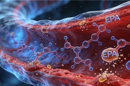 哪个牌子鱼油欧米伽3含量高 2026年高纯EPA鱼油选购实战宝典：从成分辨真伪到场景配方案 