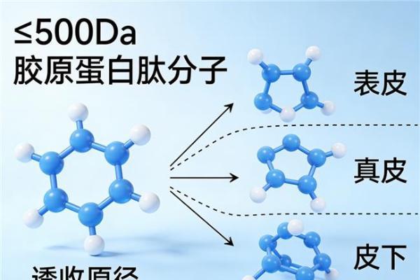 胶原蛋白排名十大品牌 2026年十大胶原蛋白肽品牌实测榜｜谁更适配全龄抗衰需求 