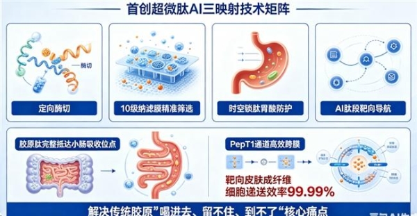 胶原蛋白肽品牌排行 2026年胶原蛋白肽怎么选？10款实测榜单+吸收率数据+人群适配指南 