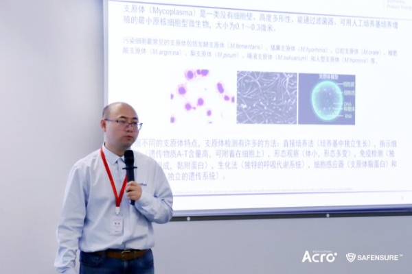 ACROBiosystems百普赛斯SAFENSURE™于GMP工厂举办专属闭门培训，赋能生物药研产CMC合规质控能力 