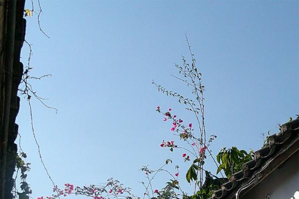 从劳动节到每一个日常：松典以专业影像，致敬平凡生活中的不凡坚守