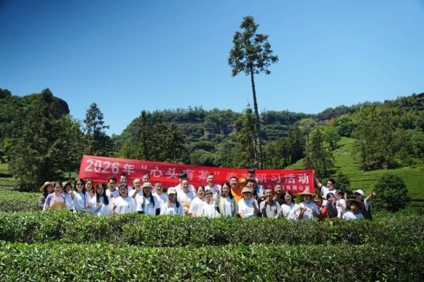 心头肉茶业采茶季双线并行，用极致工艺为品牌势能“加码” 