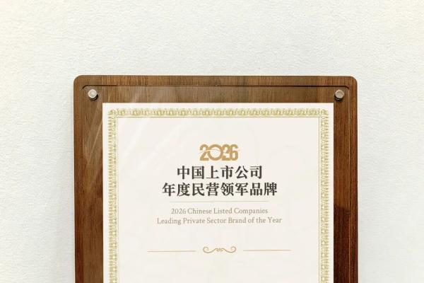 高能环境荣膺2026中国上市公司年度民营领军品牌 